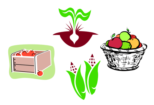 Productos de la huerta.