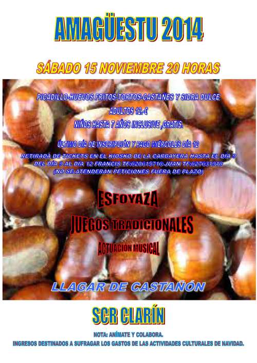 Cartel anunciador del Amagüestu 2014.