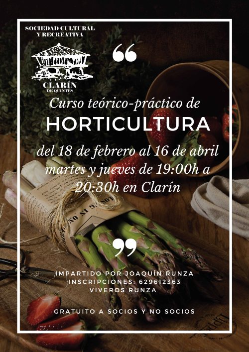 Black &amp; White Minimal Quote Vegan/Vegetarian Poster